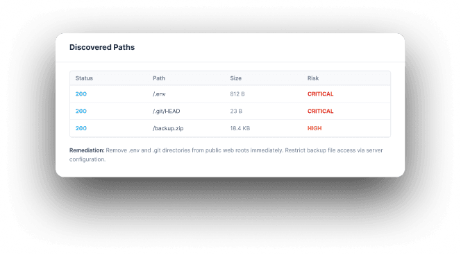 URL Fuzzer discovered paths table foreground